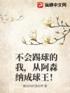 不会踢球的我,从阿森纳成球王!