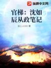 官梯:沈如辰从政笔记